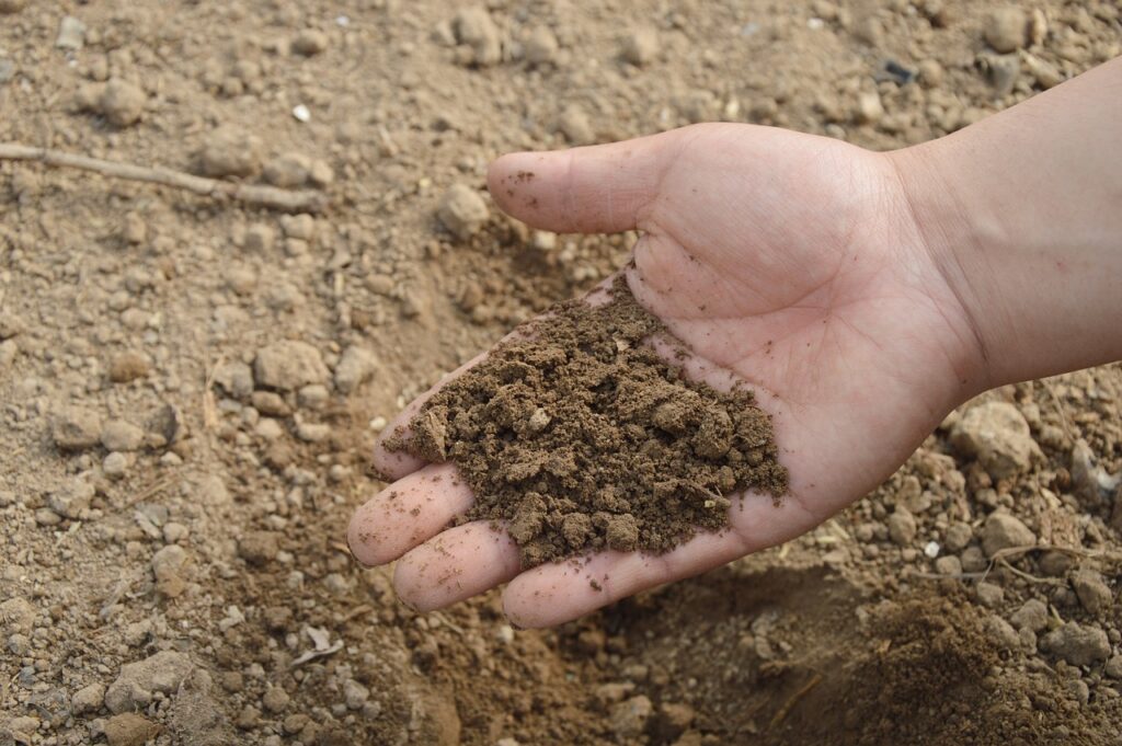 soil, hand, farm, garden, fertilizer, compost, organic, nature, brown garden, brown farm, brown gardening, soil, soil, soil, soil, soil, fertilizer