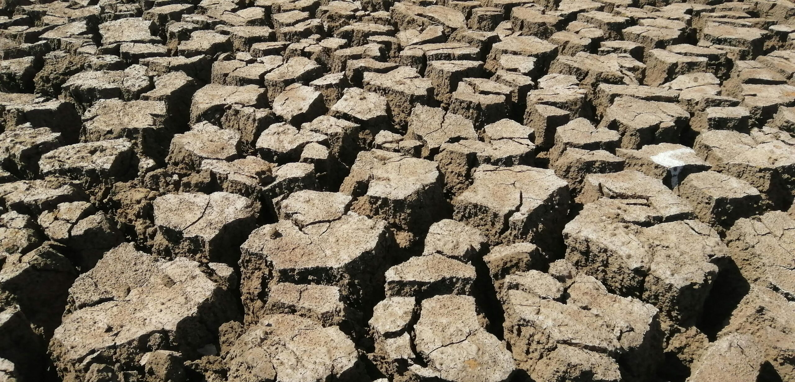 A stark image of cracked earth highlighting the impact of drought.